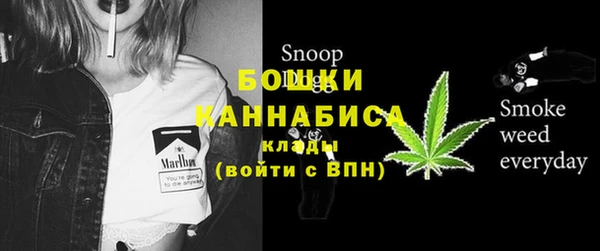 трава Саяногорск