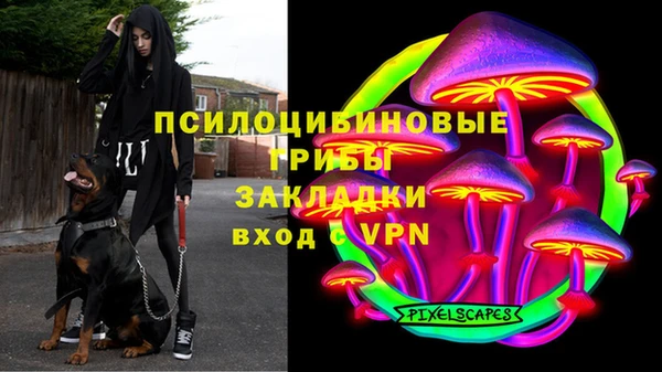 a pvp Абинск