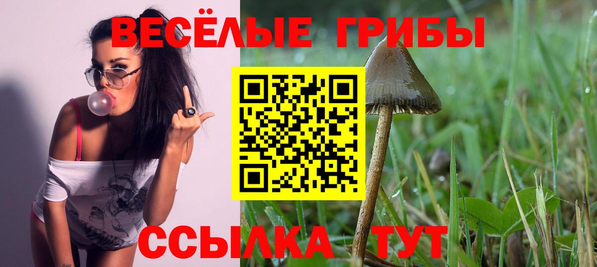Галлюциногенные грибы Psilocybine cubensis Ивантеевка
